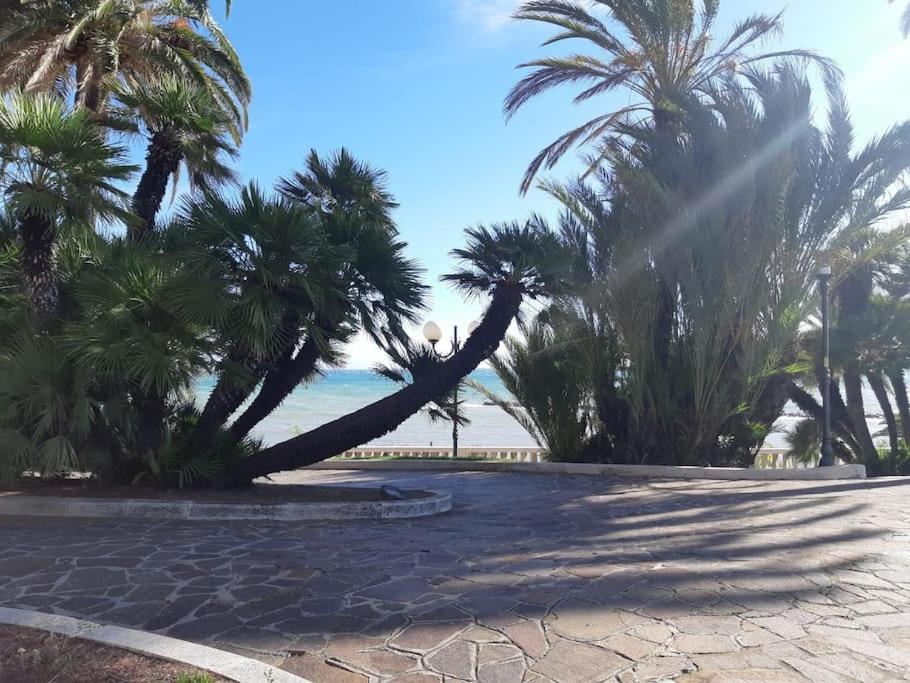 Appartamento La Casa De Grace Sanremo Esterno foto