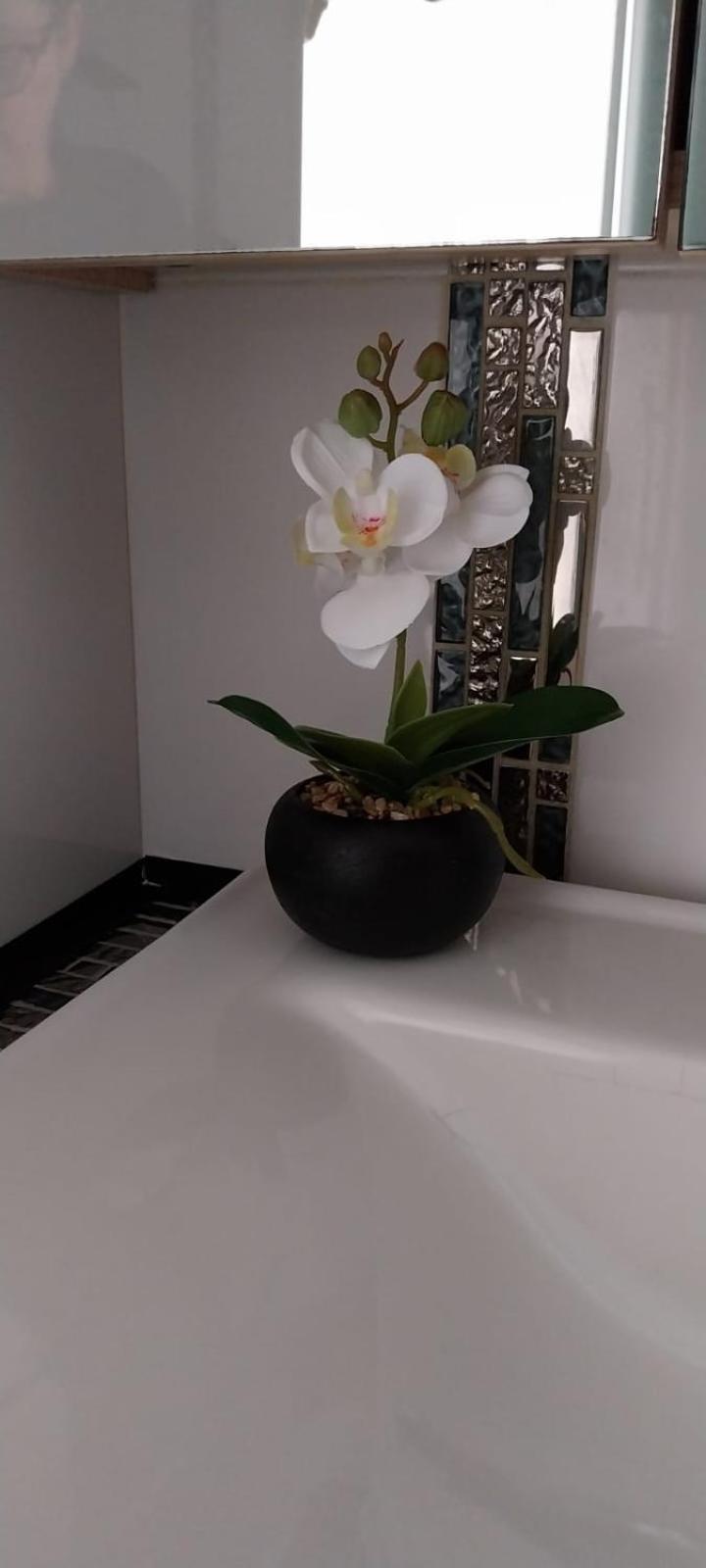 Appartamento La Casa De Grace Sanremo Esterno foto